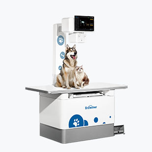 Radiographie vétérinaire