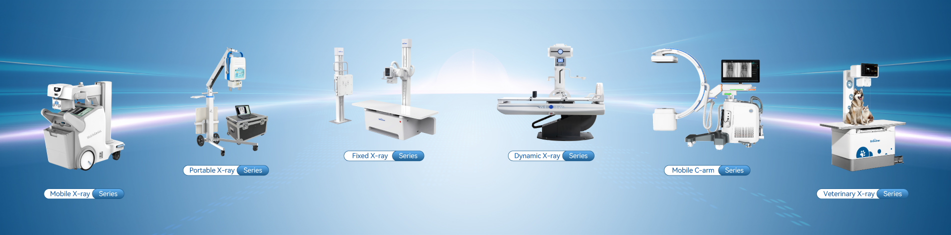 Radiographie vétérinaire